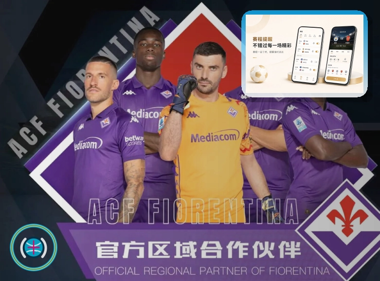 浏览器自动翻译前先确认这几点